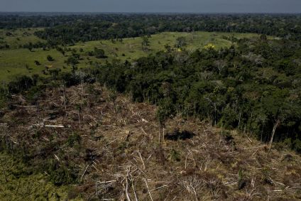 Imagem aérea de zona desmatada na floresta amazônica no estado do Acre, na Amazônia brasileira, em julho de 2022.