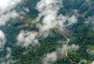 Diálogos Amazônicos: Evento de debates que antecede Cúpula da Amazônia começa nesta sexta-feira