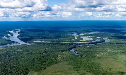 Noruega anuncia doação de US$ 50 milhões para o Fundo Amazônia na COP28