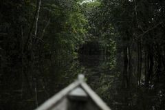 Vista da floresta amazônica pela proa de um barco, na cidade de Leticia, na Amazônia colombiana, em abril de 2023.