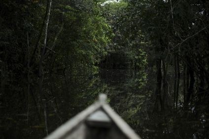 Vista da floresta amazônica pela proa de um barco, na cidade de Leticia, na Amazônia colombiana, em abril de 2023.