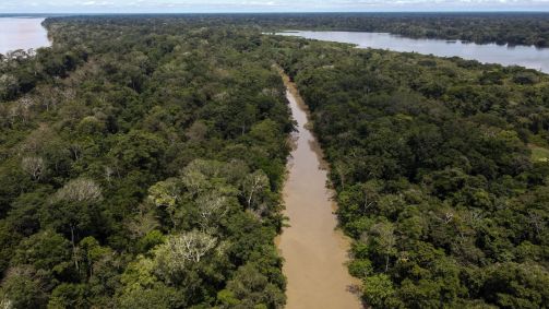 Vista geral do rio Amazonas passando pelo departamento de Amazonas, na Amazônia colombiana.