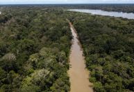 De desmatamento a aquecimento: como o Brasil impacta o clima global