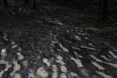 Pegadas humanas deixadas na lama da selva amazônica, na Amazônia colombiana, em abril de 2023.