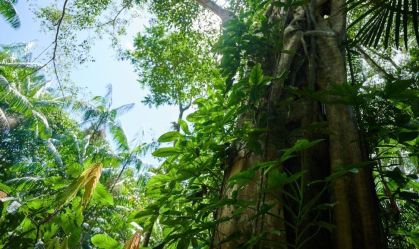 Sede da Cúpula da Amazônia, Belém tem vias interditadas e movimentação intensa