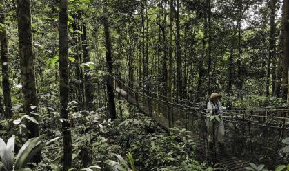 Ponte suspensa na floresta amazônia, na Amazônia peruana.