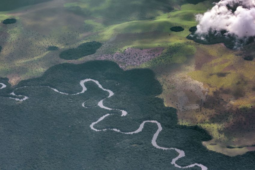 Vista aérea da Floresta do Congo na África Ocidental / Guenterguni/Getty Images