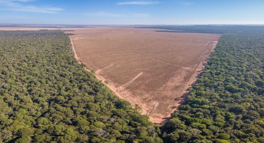 Desmatamento da Amazônia no estado de Mato Grosso