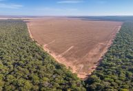 “Ponto de não retorno” na Amazônia é motivo de preocupação de Marina e gestores da política ambiental