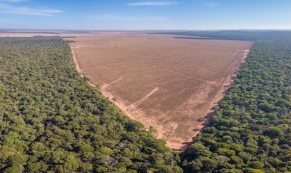 "Ponto de não retorno" na Amazônia é motivo de preocupação de Marina e gestores da política ambiental