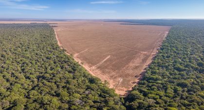 Desmatamento da Amazônia no estado de Mato Grosso
