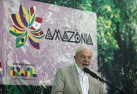 Cúpula da Amazônia foi primeira coalização global por florestas, avalia especialista