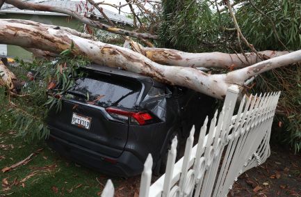 Árvore cai sobre carro após a passagem da tempestade Hilary pela Califórnia, nos Estados Unidos