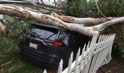 Árvore cai sobre carro após a passagem da tempestade Hilary pela Califórnia, nos Estados Unidos