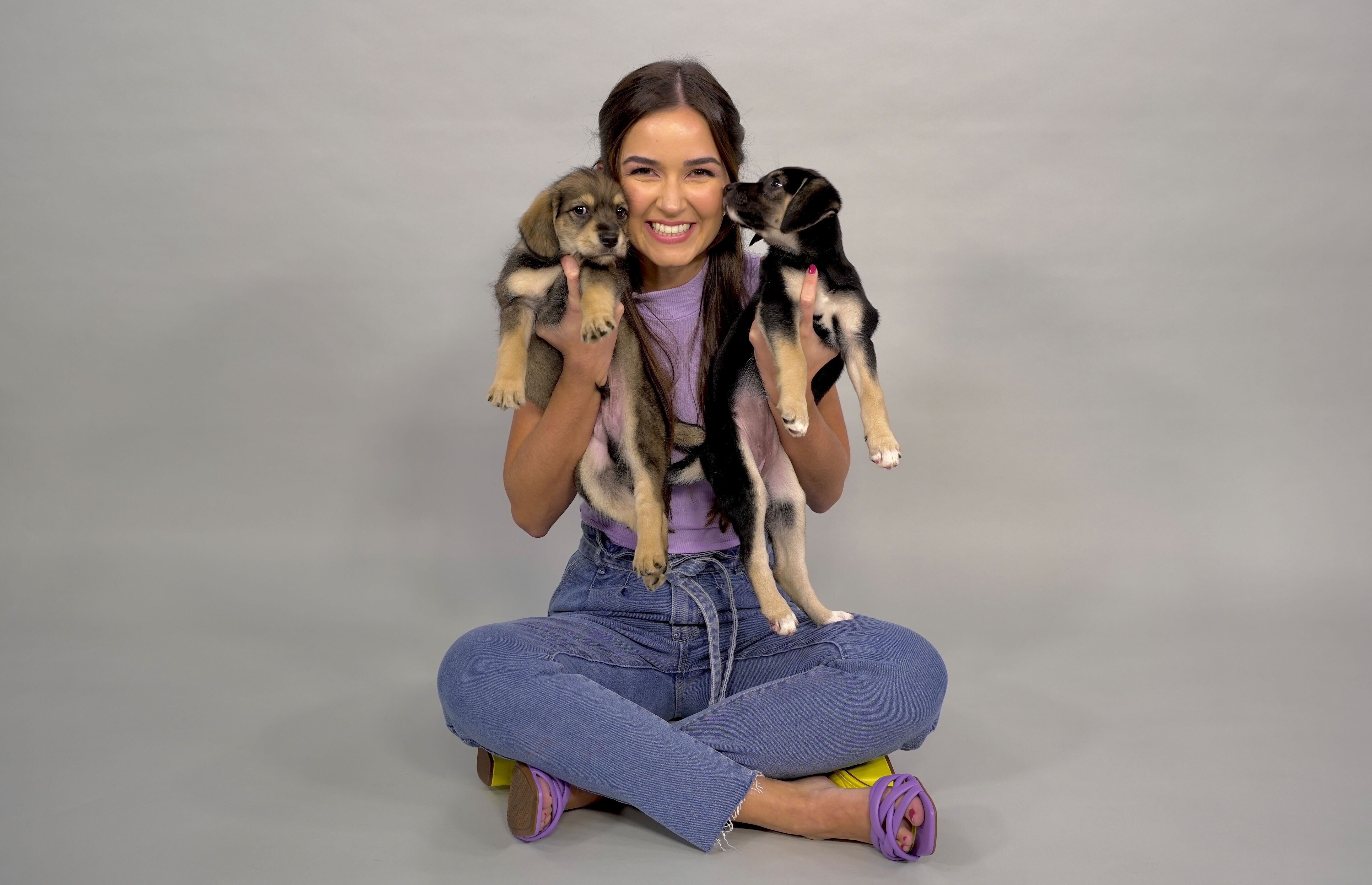 Todos os episódios têm a participação de cães que estão para adoção no Adote ViCa / CNN