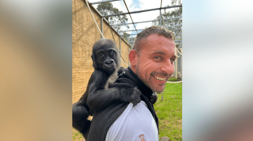 Kaius segura Chad Staples enquanto eles caminham pelo zoológico / Chad Staples/Mogo Wildlife Park