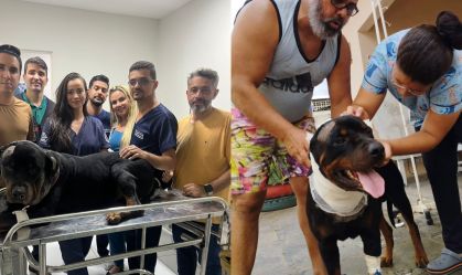 Imagem de destaque do post: Cachorro leva três tiros na cabeça e sobrevive após disparos do dono em João Pessoa