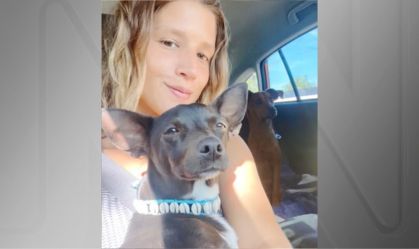 Companhia aérea perde cachorro de passageira no aeroporto mais movimentado do mundo