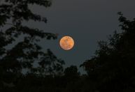 Primeira Lua cheia do ano coincide com espetáculo astronômico de Marte