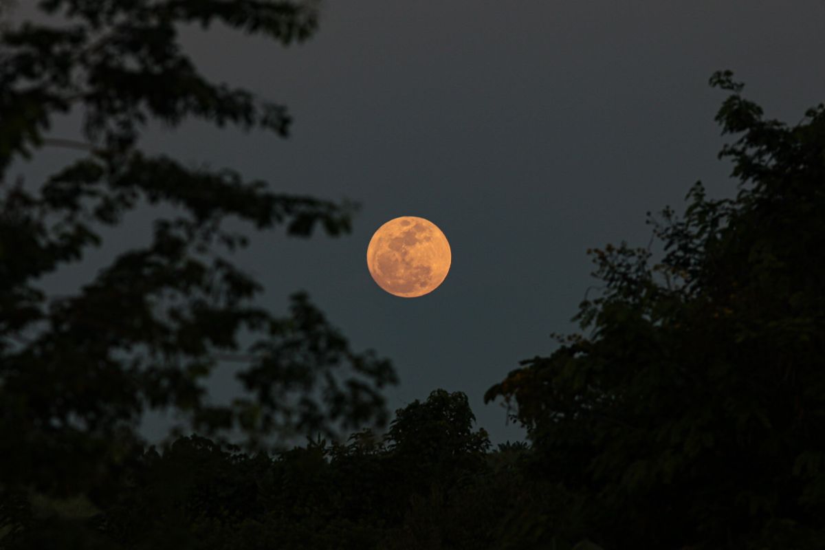 Lua Cheia das Flores ilumina o céu nesta sexta-feira, 1º de maio de 2026