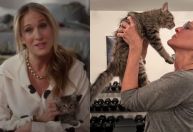 Sarah Jessica Parker adota gatinho de Carrie Bradshaw na vida real; veja fotos