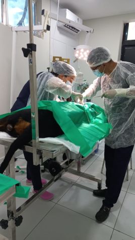 Lucky Negão durante a cirurgia para retirada dos projéteis / Reprodução/Prefeitura de João Pessoa