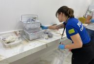 Enfermeira é investigada por procedimentos estéticos irregulares; pacientes foram hospitalizadas