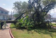 Passagem de ciclone extratropical deixa danos em cidades do litoral de São Paulo