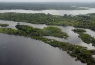 XPRIZE: final da competição sobre mapeamento da biodiversidade acontece no Amazonas