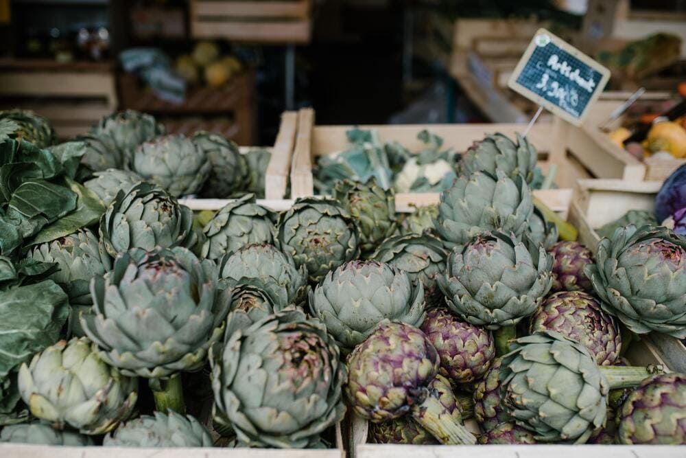 Chá de alcachofra tem propriedades antioxidantes e diuréticas
