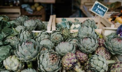 Chá de alcachofra tem propriedades antioxidantes e diuréticas