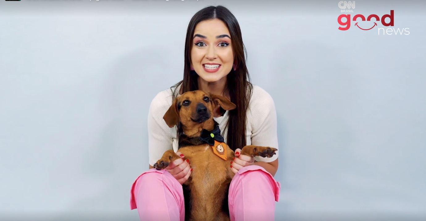 Programa desta sexta-feira (18) teve a participação de cães adultos que estão para adoção no Adote ViCa / CNN