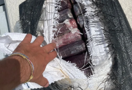 Prefeita de Tampa, na Flórida, encontra US$ 1 milhão em cocaína enquanto pescava com a família