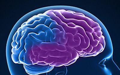 Demência frontotemporal (FTD) refere-se a um grupo de distúrbios causados ​​pela perda progressiva de células nervosas nos lobos frontais do cérebro (as áreas atrás da testa) ou seus lobos temporais (as regiões atrás das orelhas). / Alzheimer's Association / Reprodução