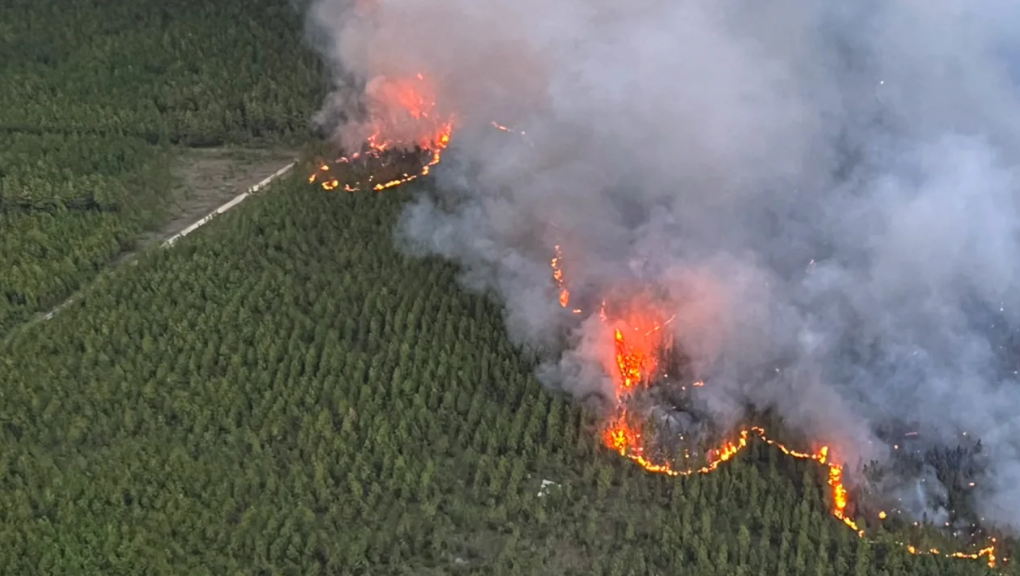 Incêndios florestais na paróquia de Beauregard, Louisiana, forçaram evacuações na quinta-feira