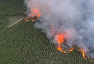Louisiana registra 441 incêndios florestais ‘sem precedentes’ em meio a seca extrema