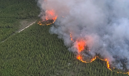 Louisiana registra 441 incêndios florestais ‘sem precedentes’ em meio a seca extrema