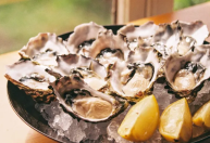 Ostras vendidas em SP e SC têm bactérias e metais tóxicos, diz estudo