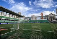 Goiás x Novorizontino: horário e onde assistir ao jogo da Série B