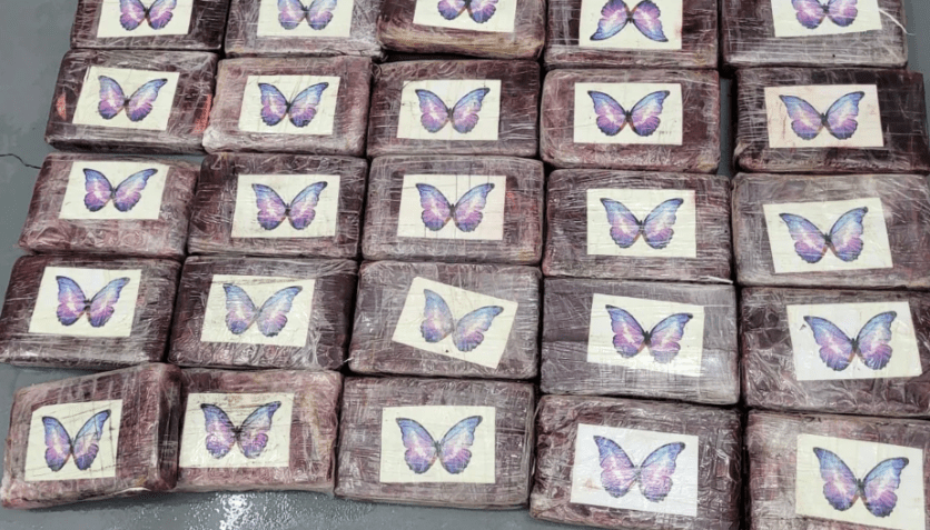 Tabletes de cocaína / Patrulha de Fronteira dos Estados Unidos