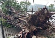Tufão deixa mais de 100 pessoas feridas e 260 mil casas sem energia em Taiwan