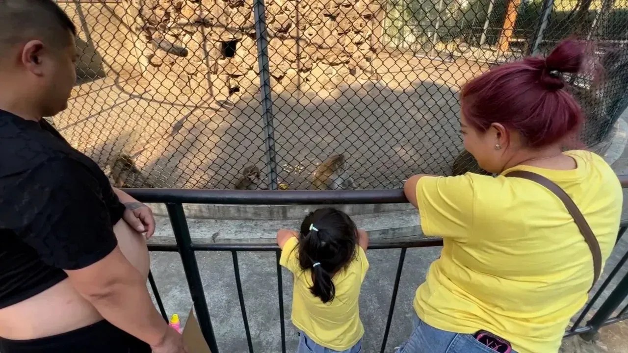 Família visita o zoológico do Parque Dongshan, na China, em 14 de setembro / Reprodução/CNNi