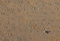 Misteriosos “círculos de fadas” são identificados em centenas de locais no mundo