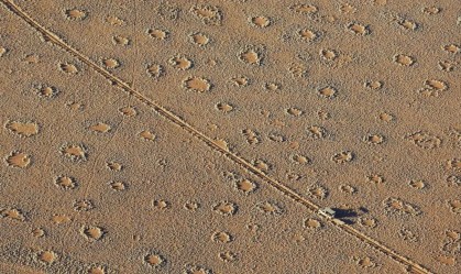 Misteriosos “círculos de fadas” são identificados em centenas de locais no mundo