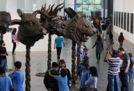 Bienal de SP: entenda como mostra colocou a capital paulista no cenário mundial das artes