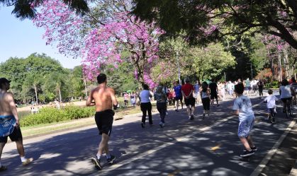 Sede, tonturas, cerveja: veja riscos no calor forte e cuidados para se proteger