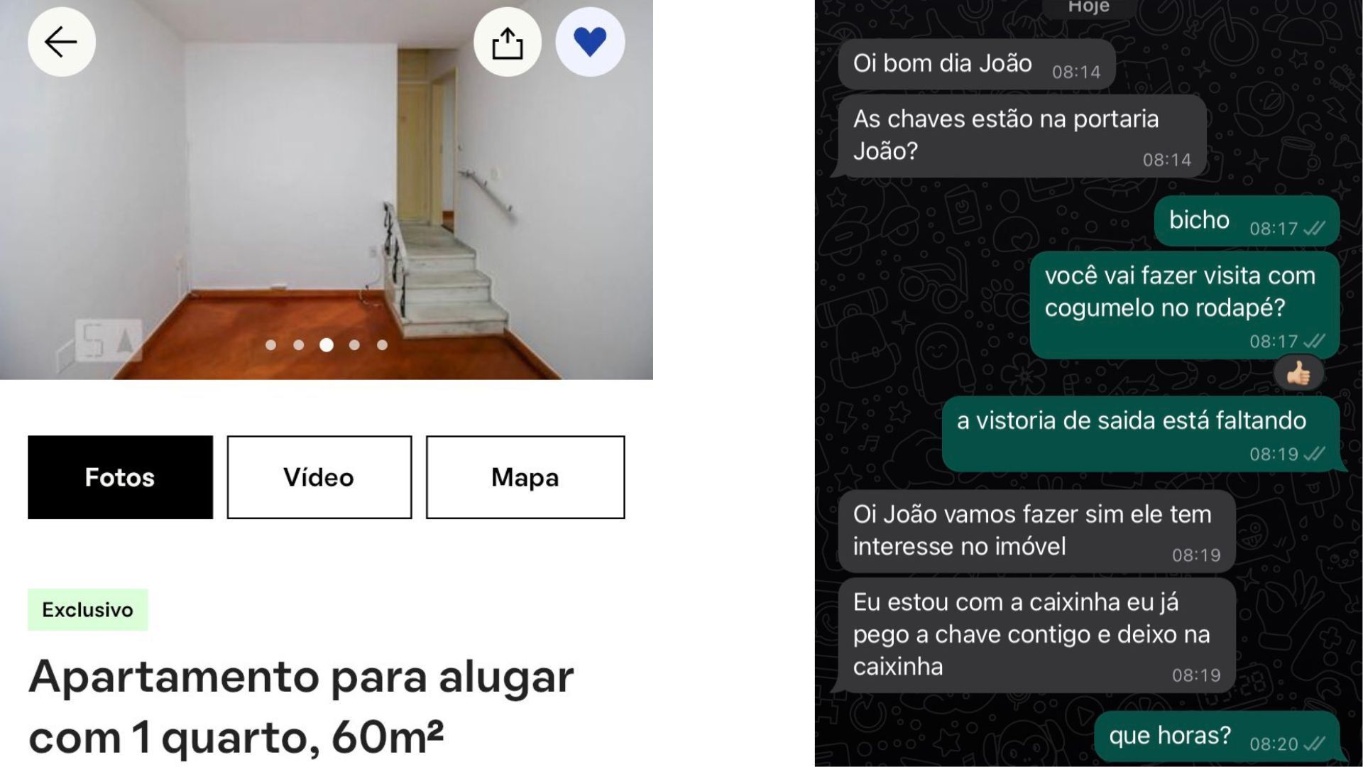 Imagem do anúncio que voltou ao ar mesmo com a infestação e mensagem do corretor avisando de uma nova visita / Reprodução