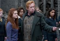 Com pacotes esgotados, CCXP23 anuncia ator de “Harry Potter” entre atrações; veja datas disponíveis