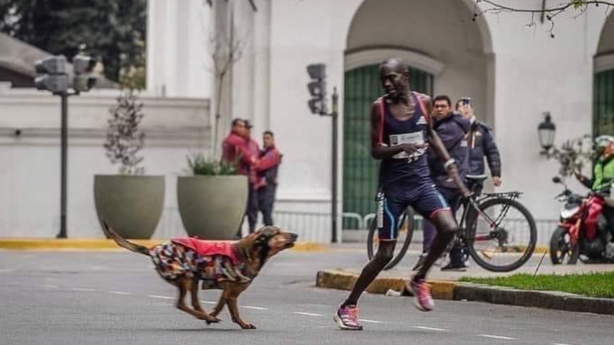 Robert Kimutai Ngeno foi atacado por um cachorro