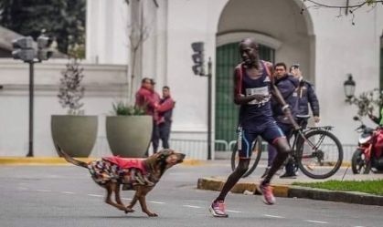 Robert Kimutai Ngeno foi atacado por um cachorro